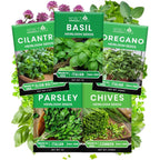 5 Herb Seeds Variety Kit, Oregano, Cilantro, Parsley, Basil, Chives