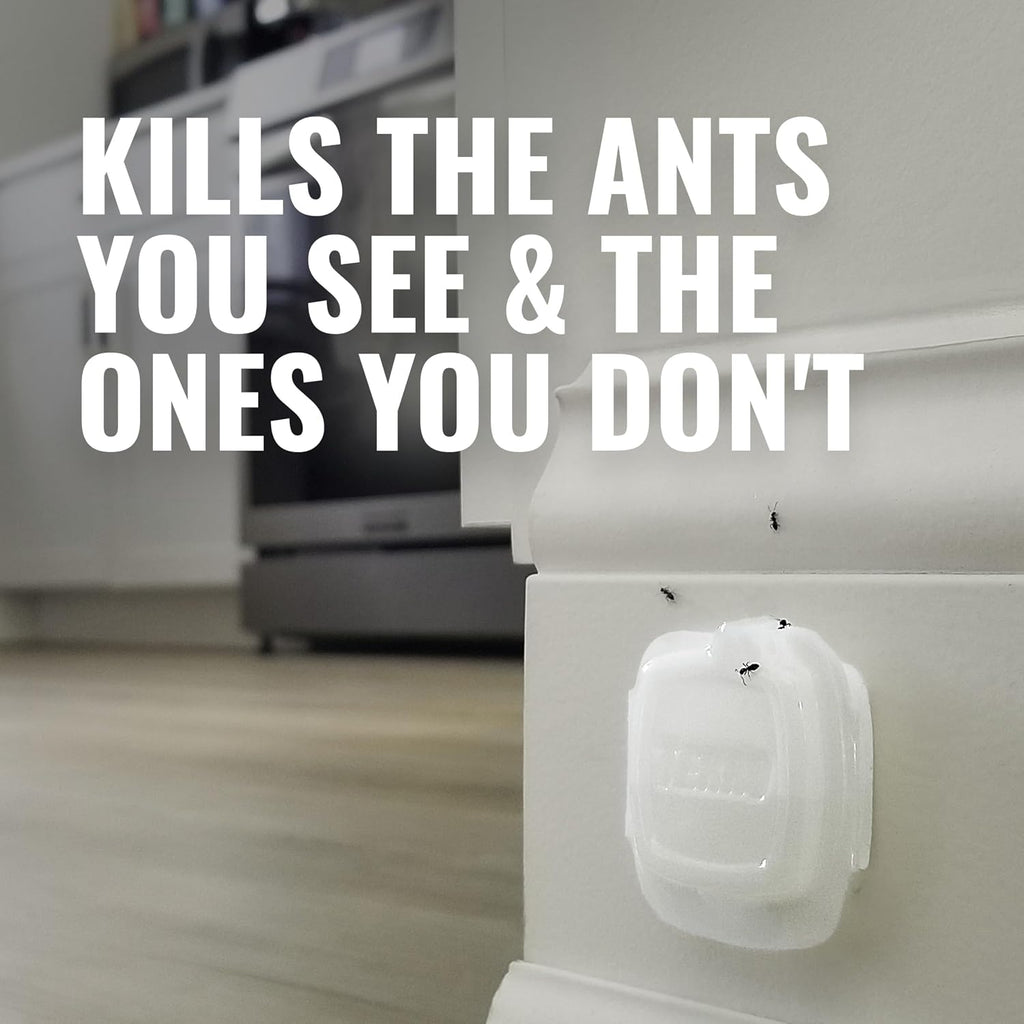 Terro Multi-Surface Liquid Ant Baits, 8-Pack, Indoor Bait Stations For Home | Ant Trap For Discreet Baiting, Complete Colony Elimination, Indoor Ant Trap, Kills Common Household Ants, Ready-To-Use Bait