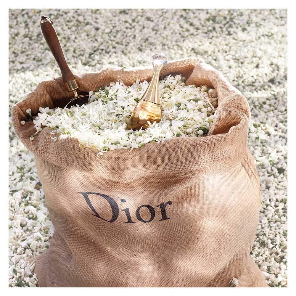 J'Adore Women Eau De Parfume Spray By Christian Dior, 1.7 Ounce, Multicolor