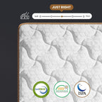 Queen Mattress 14 Inch, Luxury Hotel Cooling Hybrid Bed Mattress In A Box