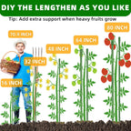 Fabulas Garden Stakes 16 Inch 70 Pack, Diy 4Ft 5Ft 6Ft 7Ft 8Ft Tomato Stakes Plastic Coated Metal Plant Sticks Stakes Supports With 40 Connectors 30 Rotatable Clips For Indoor Outdoor Plants Vegetable