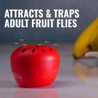 Terro Fruit Fly Trap 4-Pack, 180 Day Lure Supply, Food-Based Lure | Apple-Shaped Design For Kitchen Counters, Fruit Bowls, Trash Cans, Food-Based Lure, Indoor Pest Control, Fruit Fly Killer