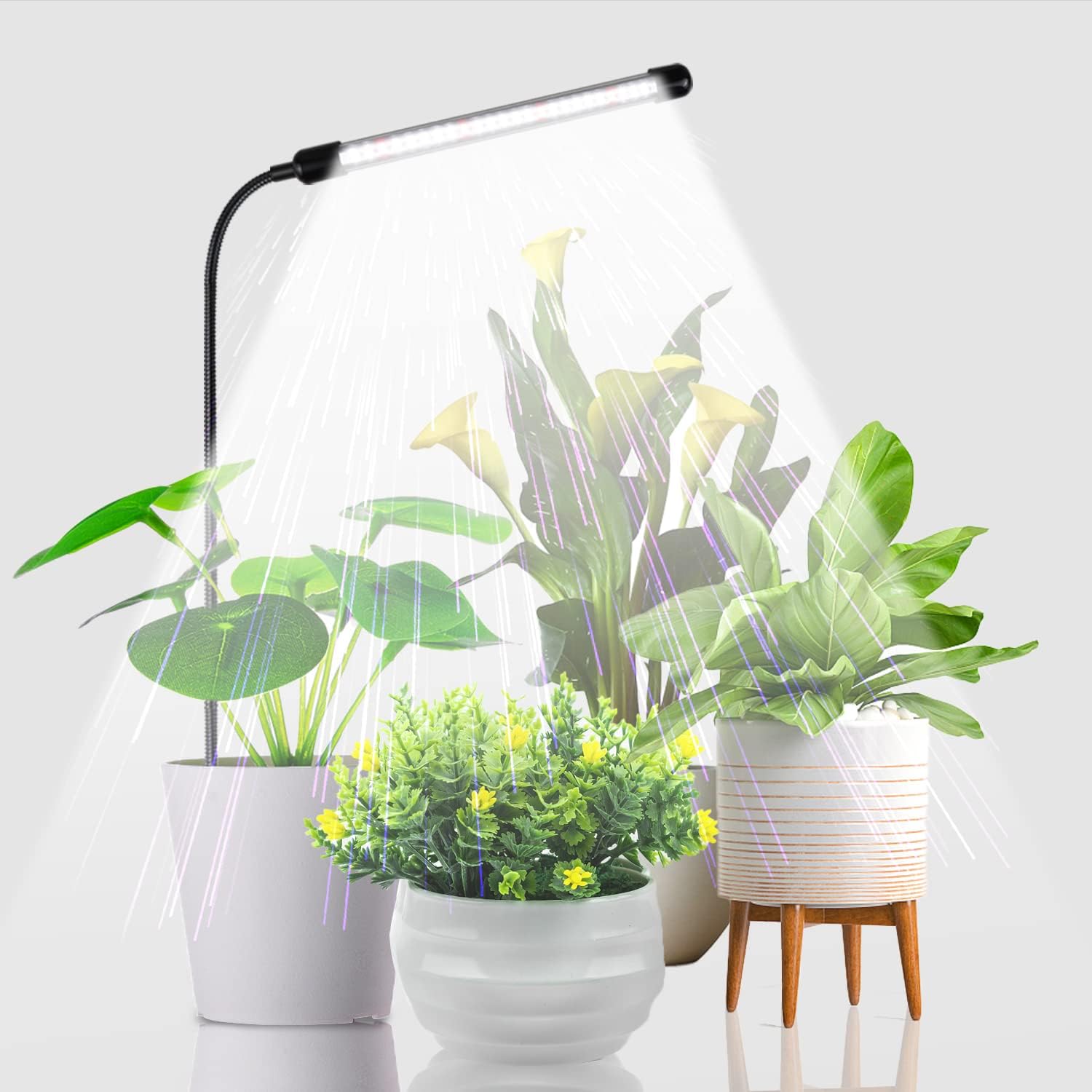 Grow Light For Indoor Plants Growing, 6000K Full Spectrum Gooseneck Plant Lamp For Seedings Succulents Small Plants, Auto On/Off Timing & 5 Dimming, 1-Pack