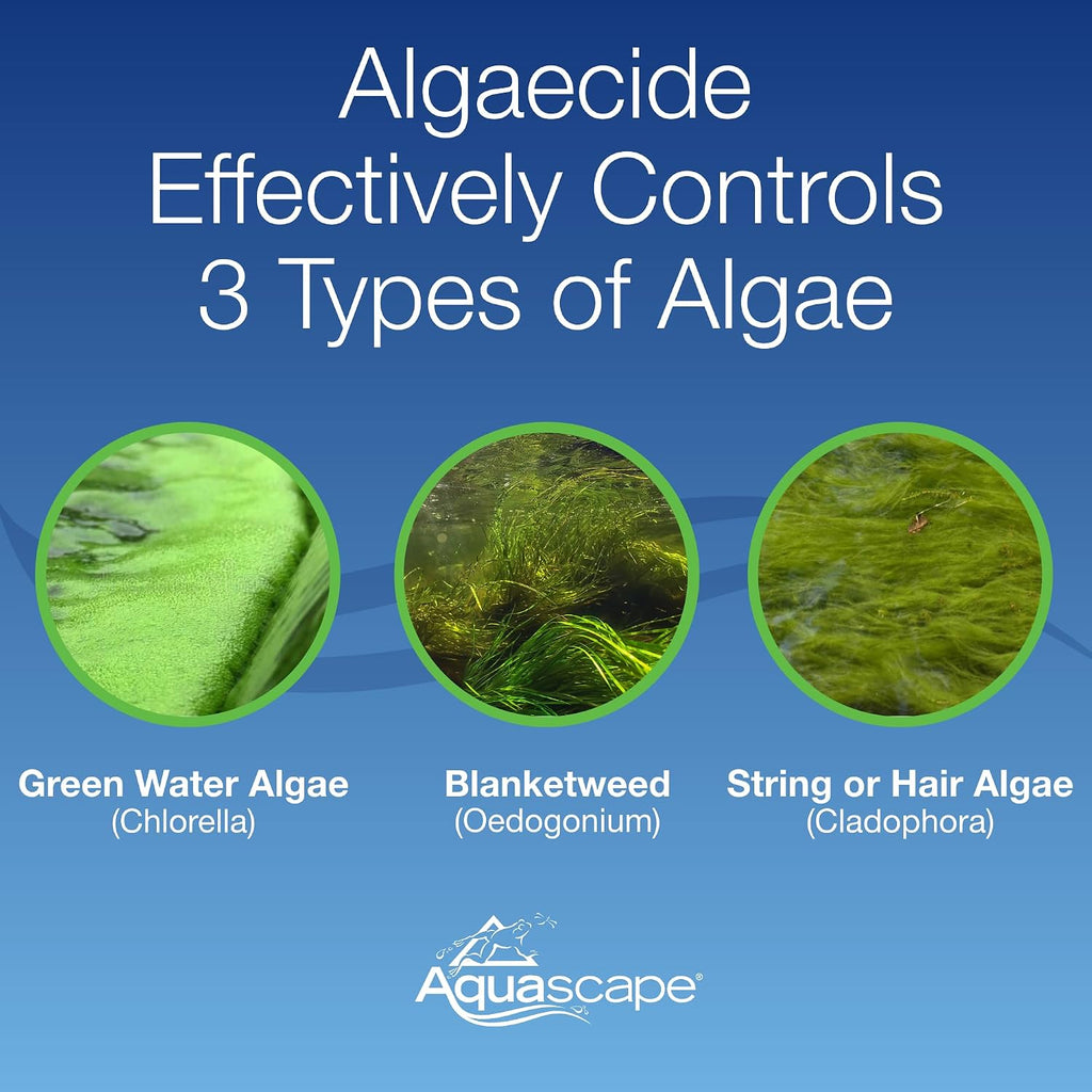 Aquascape Algaecide For Pond, Waterfall, And Water Features, 32-Ounce, 96024