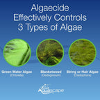 Aquascape Algaecide For Pond, Waterfall, And Water Features, 32-Ounce, 96024
