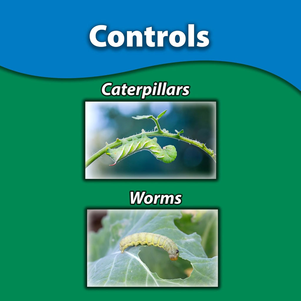 Monterey B.T. Bundled With Measuring Spoon - Caterpillar & Worm Killer Organic Gardening - Apply With Sprayer - 32 Oz