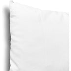 EDOW Throw Pillow Insert, Lightweight Soft Polyester Down Alternative Decorative Pillow, Sham Stuffer, Machine Washable. (White, 18x18)