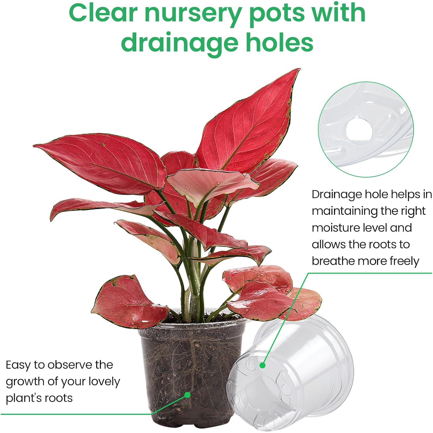 36 Packs 5/4/3.5 Inch Reinforced Clear Nursery Pots With Drainage Hole, Transparent Variety Pack Plastic Plant Pot Seedling Planter For Vegetable Propagation, Root Cutting, Seed Starting