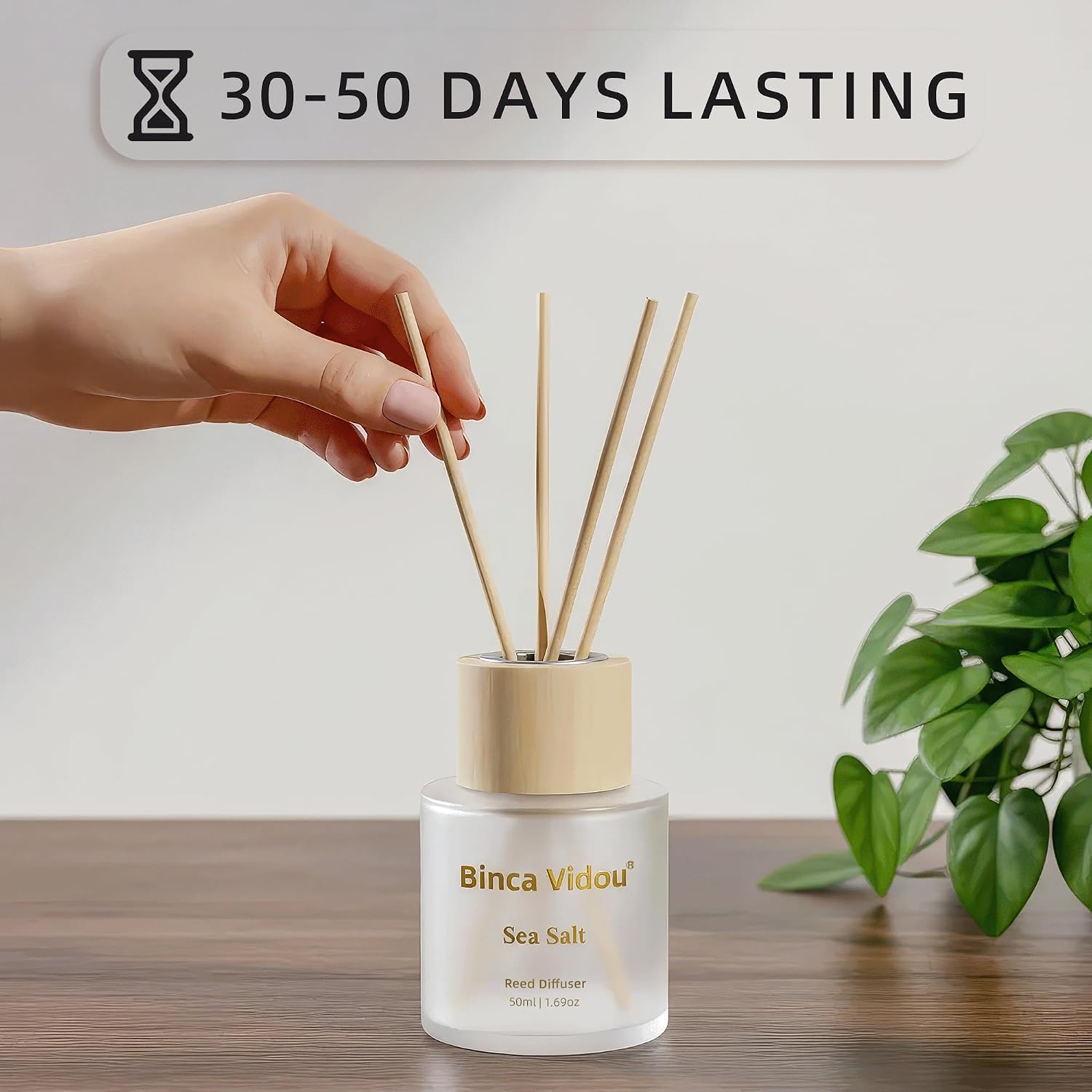 Reed Diffuser Set Of 3, Binca Vidou Lavender, Eucalyptus & Sea Salt Natural Scent Oil Diffusers With Sticks For Home Office Bathroom Aromatherapy Decor 1.69Oz X 3