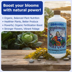 Neptune'S Harvest Fish & Seaweed Liquid Fertilizer (2-3-1) - 36Oz Bottle - Plant Food For Garden - Indoor & Outdoor Organic Plant Fertilizer For Vegetables, Flowers, Fruit, Trees & Lawns