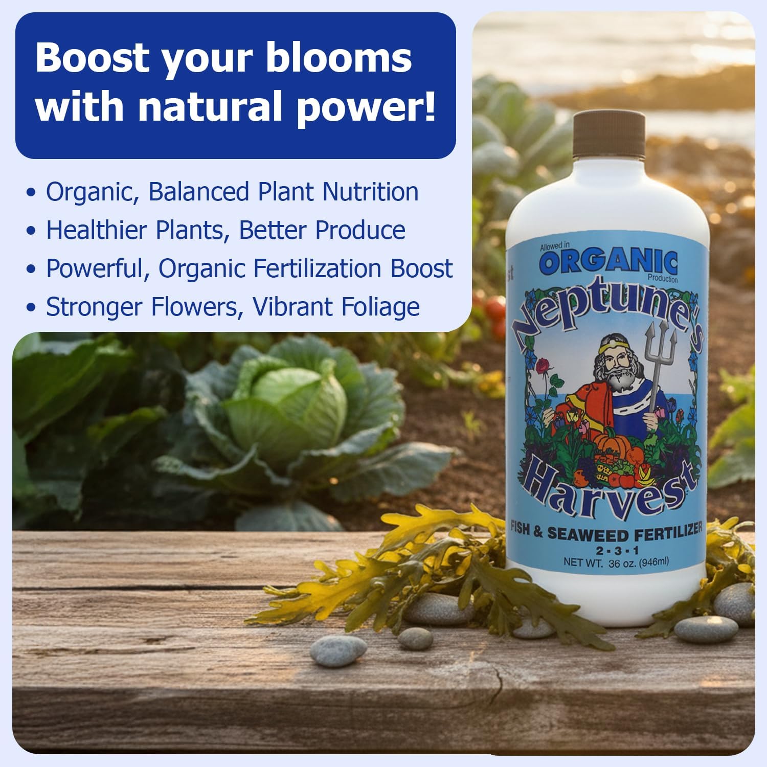 Neptune'S Harvest Fish & Seaweed Liquid Fertilizer (2-3-1) - 36Oz Bottle - Plant Food For Garden - Indoor & Outdoor Organic Plant Fertilizer For Vegetables, Flowers, Fruit, Trees & Lawns