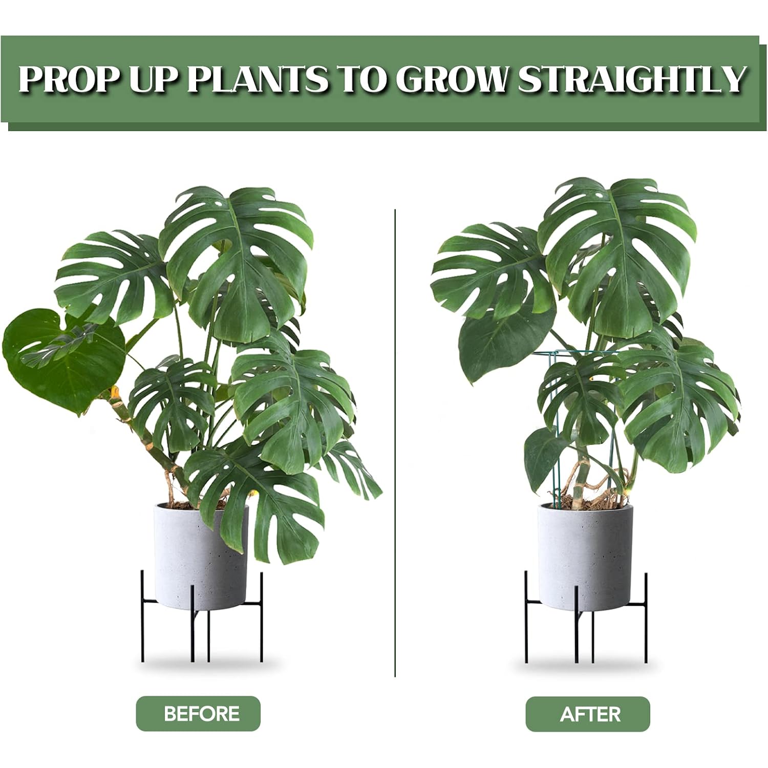 12 Pack 16 Inch Metal Plant Support Stakes For Outdoor Plants And Flowers | Peony Cages And Supports, Flower Stakes, Includes 15 Pcs Twist Ties, Sturdy, Rust-Proof, Easy To Install, Durable