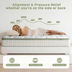 Queen Mattress 12 Inch,Medium Firm Hybrid Queen Size Mattress In A Box, Memory Foam With Individual Pocket Springs, Upgrade Zoned Support, Motion Isolation&Pressure Relief, Certipur-Us