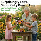 Black Eyed Susan Seeds For Planting, 5000 Seeds, Giving You Beautiful Black Eyed Susan Flowers, Non-Gmo, Heirloom Seed Varieties