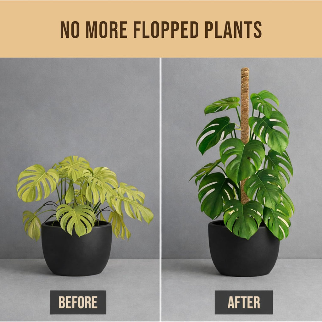Moss Pole Monstera Plant Support, 2 Pack 28In Bendable Indoor Plant Stakes