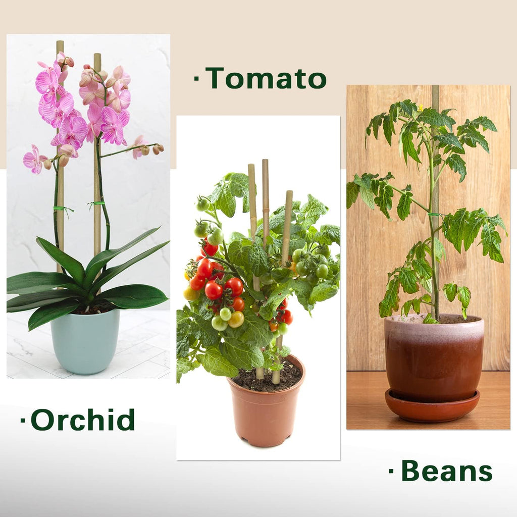 Plant Stakes,18 Inches Natural Garden Bamboo Sticks,Bovitro 20Pcs Plant Support Stakes For Tomatoes,Beans,Vegetable And Potted Plants