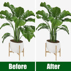 Peony Cages And Supports, 6 Pack Plant Support Stakes For Outdoor & Indoor Plants, 10" W X 16" H Half Round Garden Plant Support Rings For Peonies, Hydrangeas, Roses, Dahlias