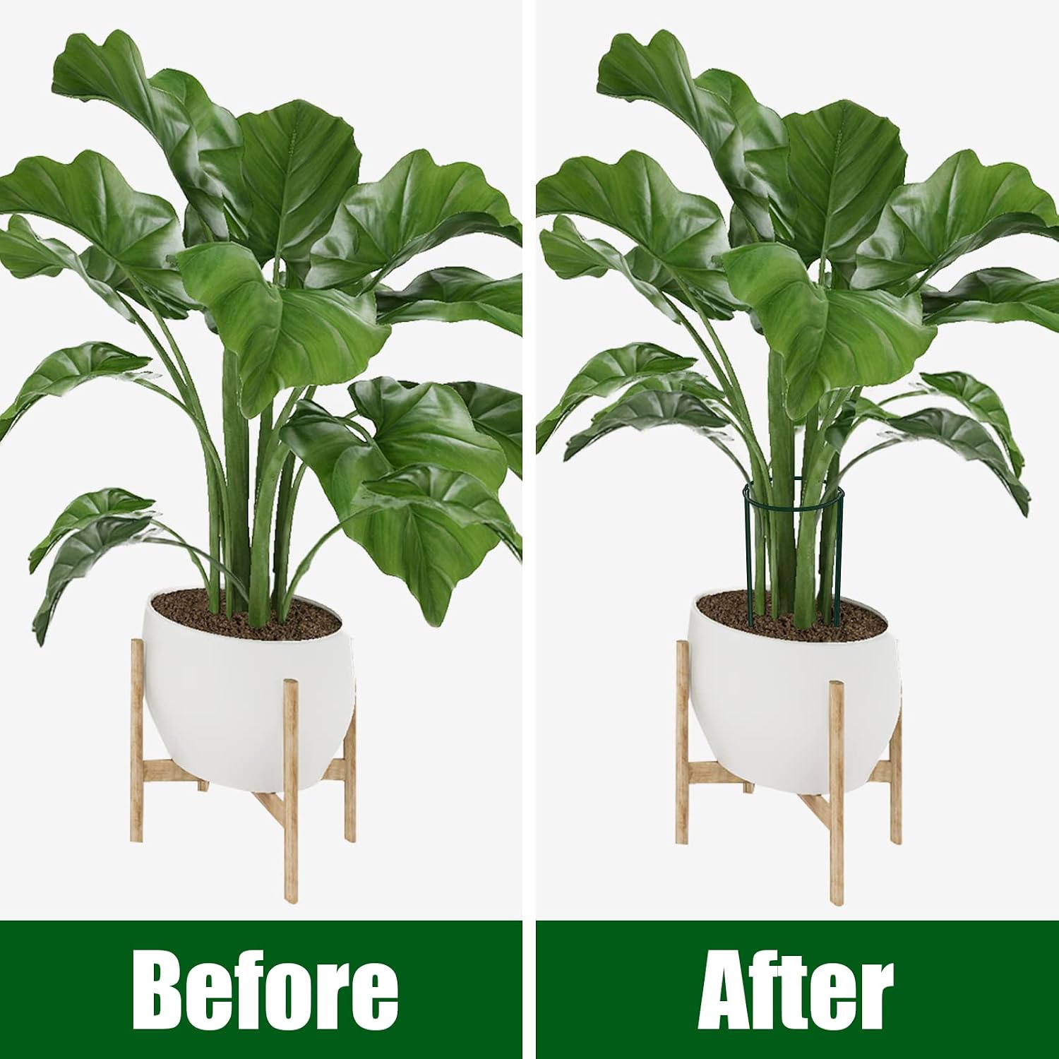Peony Cages And Supports, 6 Pack Plant Support Stakes For Outdoor & Indoor Plants, 10" W X 16" H Half Round Garden Plant Support Rings For Peonies, Hydrangeas, Roses, Dahlias