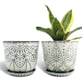 Gepege 6 Inch Beaded Ceramic Planter Set Of 2 With Drainage Hole And Saucer For Plants, Indoor-Outdoor Large Round Succulent Orchid Flower Pot (Smoked Gray, Inner-Pots Not Larger Than 5 Inch)