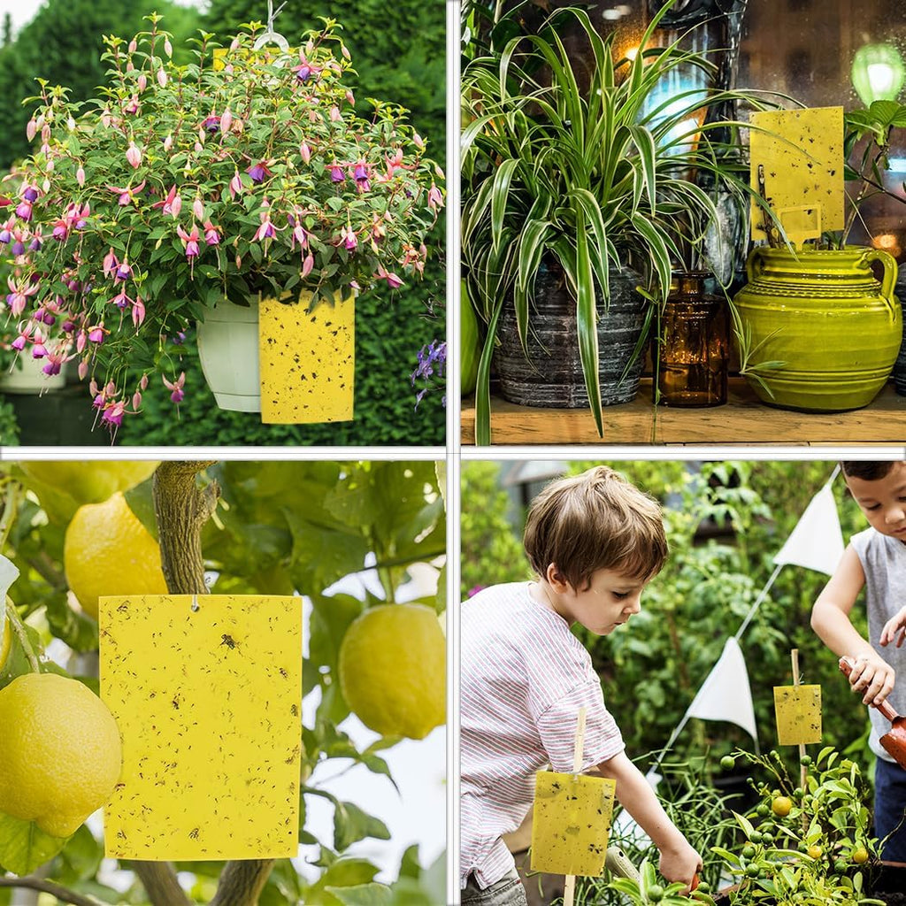 Gideal 20-Pack Dual-Sided Yellow Sticky Traps For Flying Plant Insect Such As Fungus Gnats, Whiteflies, Aphids, Leafminers,Thrips - (6X8 Inches, Included 20Pcs Twist Ties)