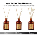Craft & Kin Oud Wood Reed Diffuser – 5.75 Oz Essential Oil Diffuser For Home & Bathroom – Up To 120-Day Fragrance With 8 Rattan Scent Sticks – Amber Glass Room Decor