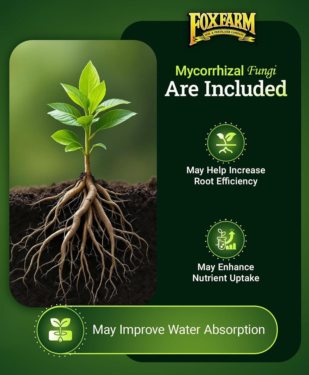 Foxfarm Happy Frog Tomato & Vegetable Fertilizer - Vegetable Fertilizer For Vigorous Feeders, 5-7-3 Blend With Calcium & Mycorrhizal Fungi, Supports Abundant Fruit Development, 4 Lb