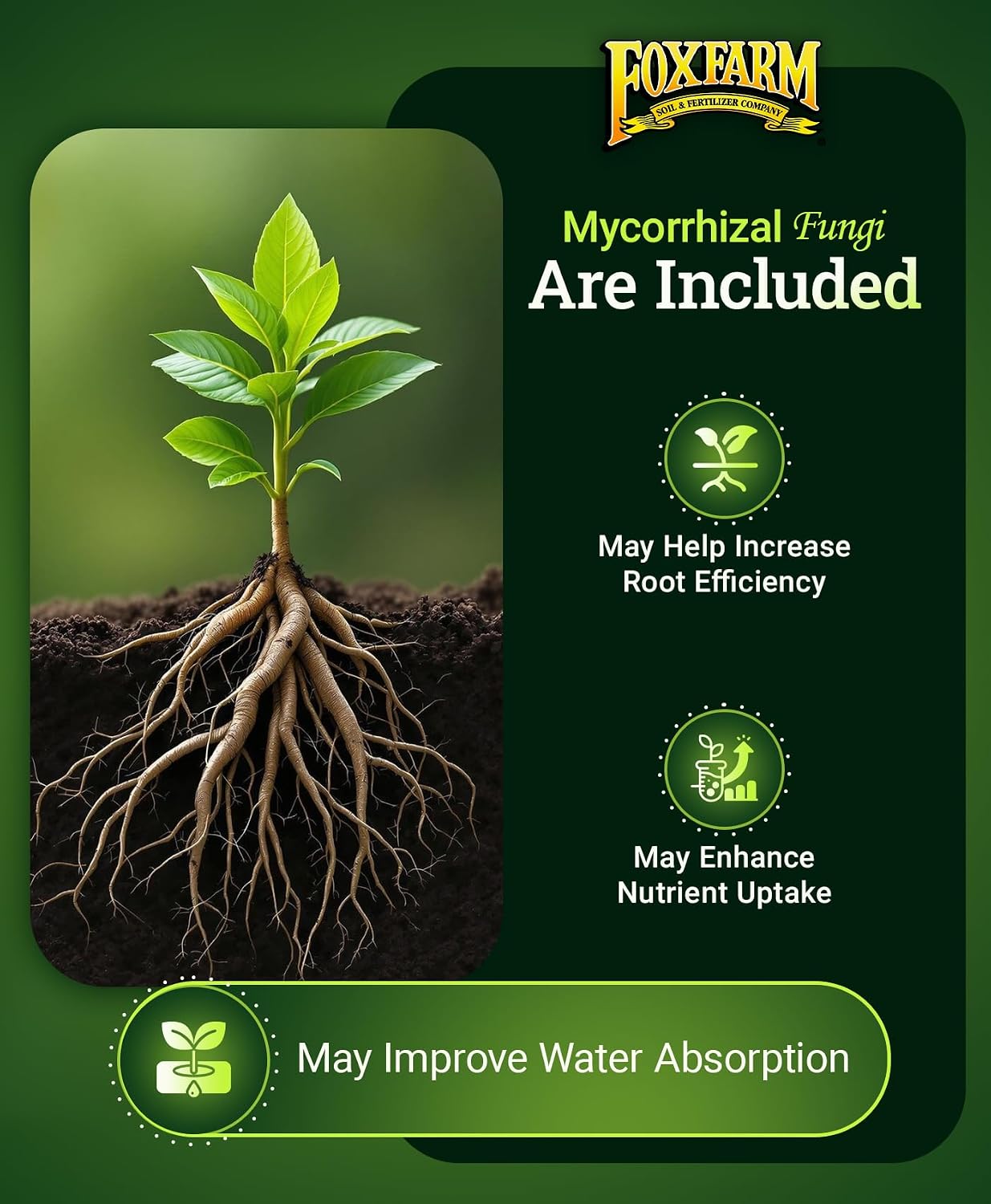 Foxfarm Happy Frog Tomato & Vegetable Fertilizer - Vegetable Fertilizer For Vigorous Feeders, 5-7-3 Blend With Calcium & Mycorrhizal Fungi, Supports Abundant Fruit Development, 4 Lb