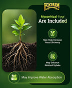 Foxfarm Happy Frog Tomato & Vegetable Fertilizer - Vegetable Fertilizer For Vigorous Feeders, 5-7-3 Blend With Calcium & Mycorrhizal Fungi, Supports Abundant Fruit Development, 4 Lb