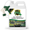 Animal & Rodent Repellent Spray. Repels Skunks, Raccoons, Rats, Mice, Deer Rodents & Critters. Repeller & Deterrent In Powerful Peppermint Formula – 128 Fl Oz Gallon Ready To Use