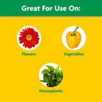Miracle-Gro Liquid All Purpose Plant Food, Concentrate, 32 Oz. | Feeds Plants Instantly, For All Plant Types, Flowers, Vegetables, Trees, Houseplants