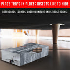 Spider Traps For Inside Your Home (16 Traps) - Spider Catcher Insect Traps Indoor - Spider Traps Indoor Bug Traps Sticky Traps For Spiders - Pre Baited Ultra Sticky Insect Glue Traps - Trap A Pest
