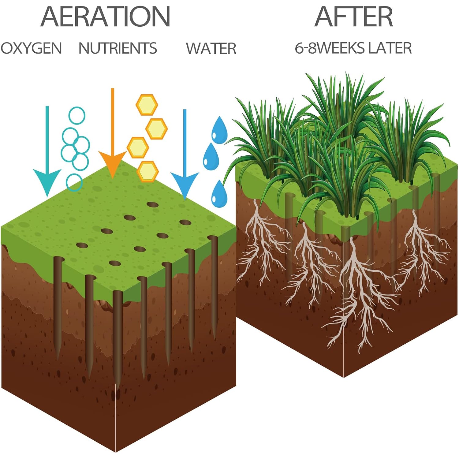 Walensee Manual Lawn Aerator Tool With 15 Iron Spikes, Garden Spike Aerator | Alternative To Aerator Shoes, Patented Grass Aerator Creates Small Holes For Easier Lawn Aeration And Healthier Roots.
