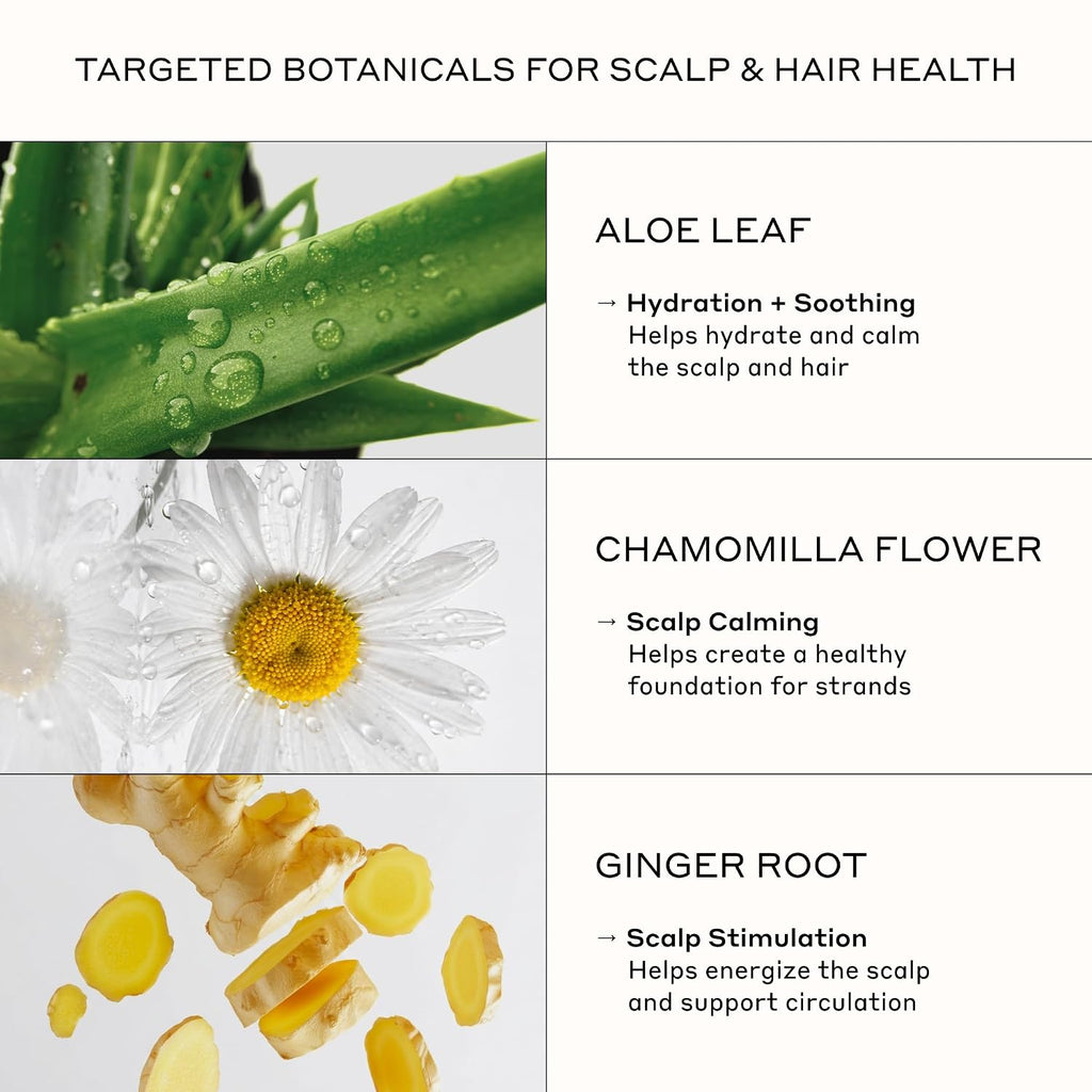 Zenagen Revolve Conditioner (Unisex) | Supports Scalp Health & Appearance Of Fuller, Healthier Hair, Developed For Fine & Visibly Thinning Hair, Plant-Based, Color-Safe, Vegan