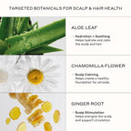 Zenagen Revolve Conditioner (Unisex) | Supports Scalp Health & Appearance Of Fuller, Healthier Hair, Developed For Fine & Visibly Thinning Hair, Plant-Based, Color-Safe, Vegan