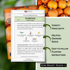 Sow Right Seeds - Small Sugar Pumpkin Seed For Planting - Non-Gmo Heirloom Packet With Instructions To Plant A Home Vegetable Garden - Mini Orange Sugar Variety On Long Vines - Fast Growing (1)