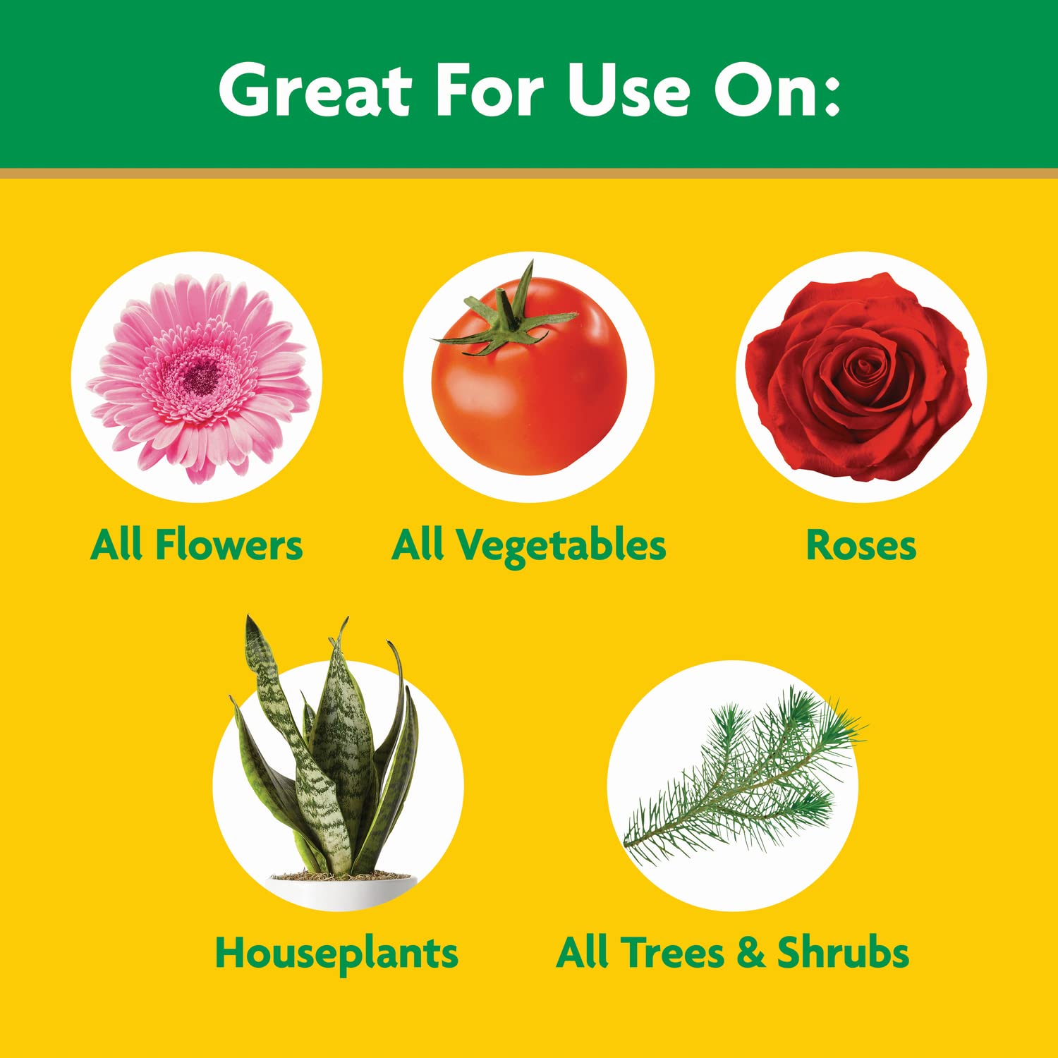 Miracle-Gro Water Soluble All Purpose Plant Food, 3 Lb. | Fertilizer For All Indoor Or Outdoor Plants Including Roses, Flowers, Vegetables, Houseplants, Trees, And Shrubs