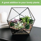 2.5 Lbs Drainage Rocks For Potted Plants, 1/5 Inch Small Pebbles For Indoor Plants, Decorative Gravel For Vases, Bamboo, Succulent, Terrarium, Crafts, Cactus