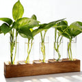 Plant Propagation Station, Plant Terrarium With Wooden Stand | Plants Pots For Hydroponics, Small Birthday Gardening Gifts For Women Mom Plants Lovers Unique - 5 Glass Test Tubes Vases