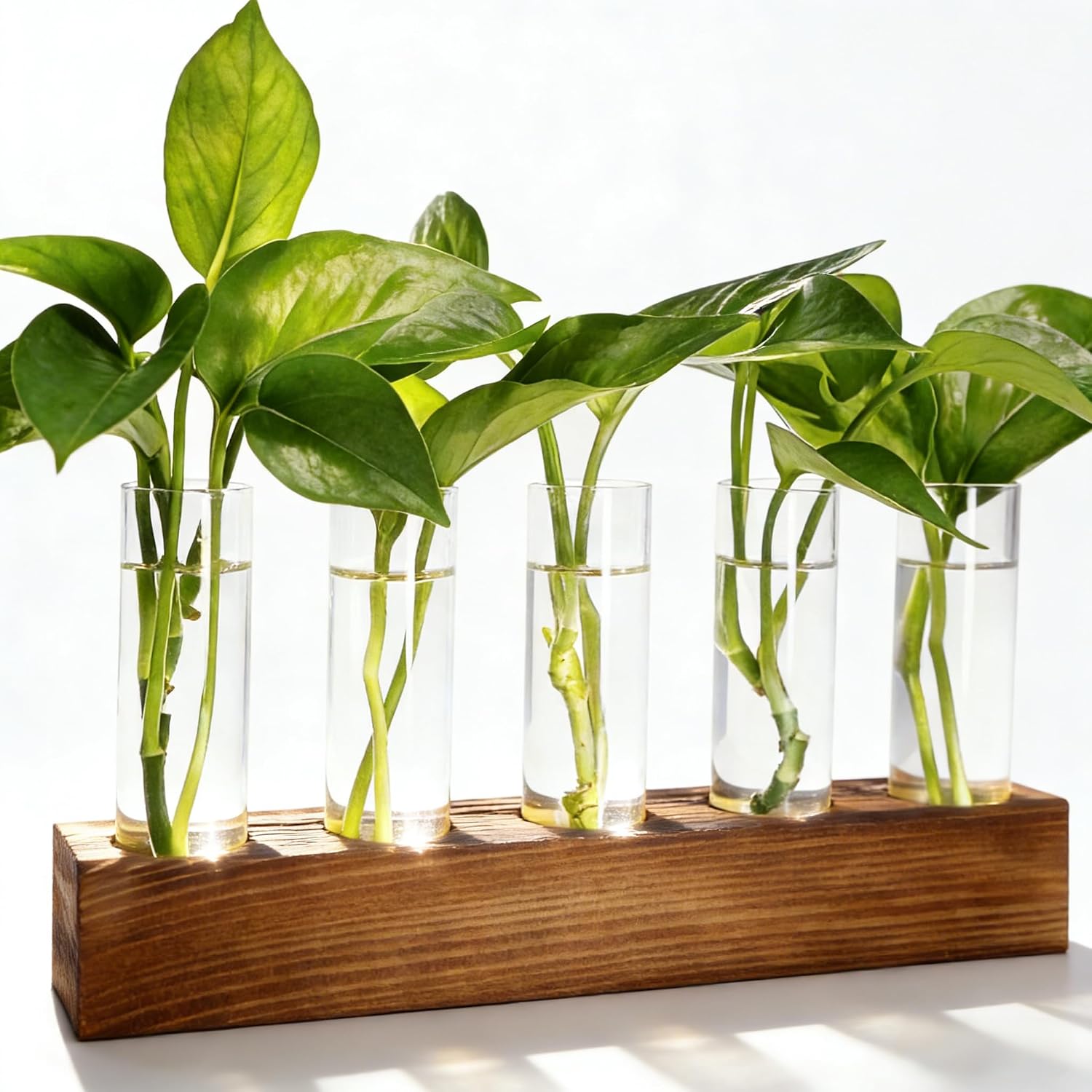 Plant Propagation Station, Plant Terrarium With Wooden Stand | Plants Pots For Hydroponics, Small Birthday Gardening Gifts For Women Mom Plants Lovers Unique - 5 Glass Test Tubes Vases