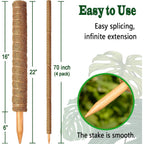 4 Pack 22 Inch Moss Poles, Stackable Moss Pole For Plants Monstera, 70 Inch Tall Moss Poles For Climbing Plants Indoor, Coir Totem Plant Support Stakes Stand For Potted Plants, Pothos