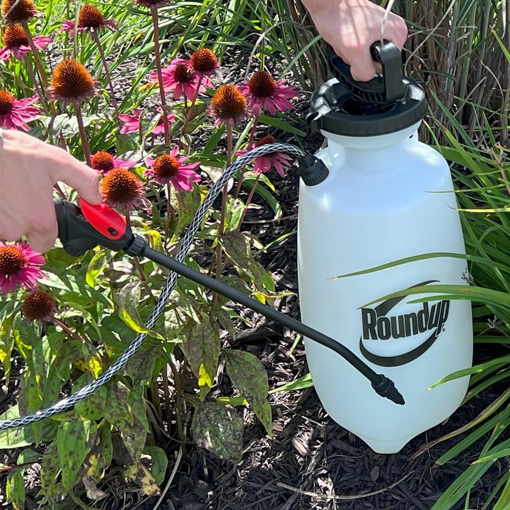 Roundup 190260 2-Gallon Lawn And Garden Sprayer For Controlling Insects And Weeds Or Cleaning Decks And Siding