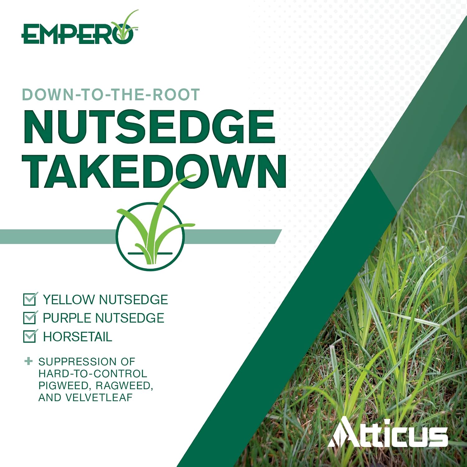 Atticus Empero Nutsedge Killer (1.33 Oz) Halosulfuron Herbicide Concentrate | Nutgrass Killer For Lawns & Landscapes, Convenient Scoop For Easy Measuring