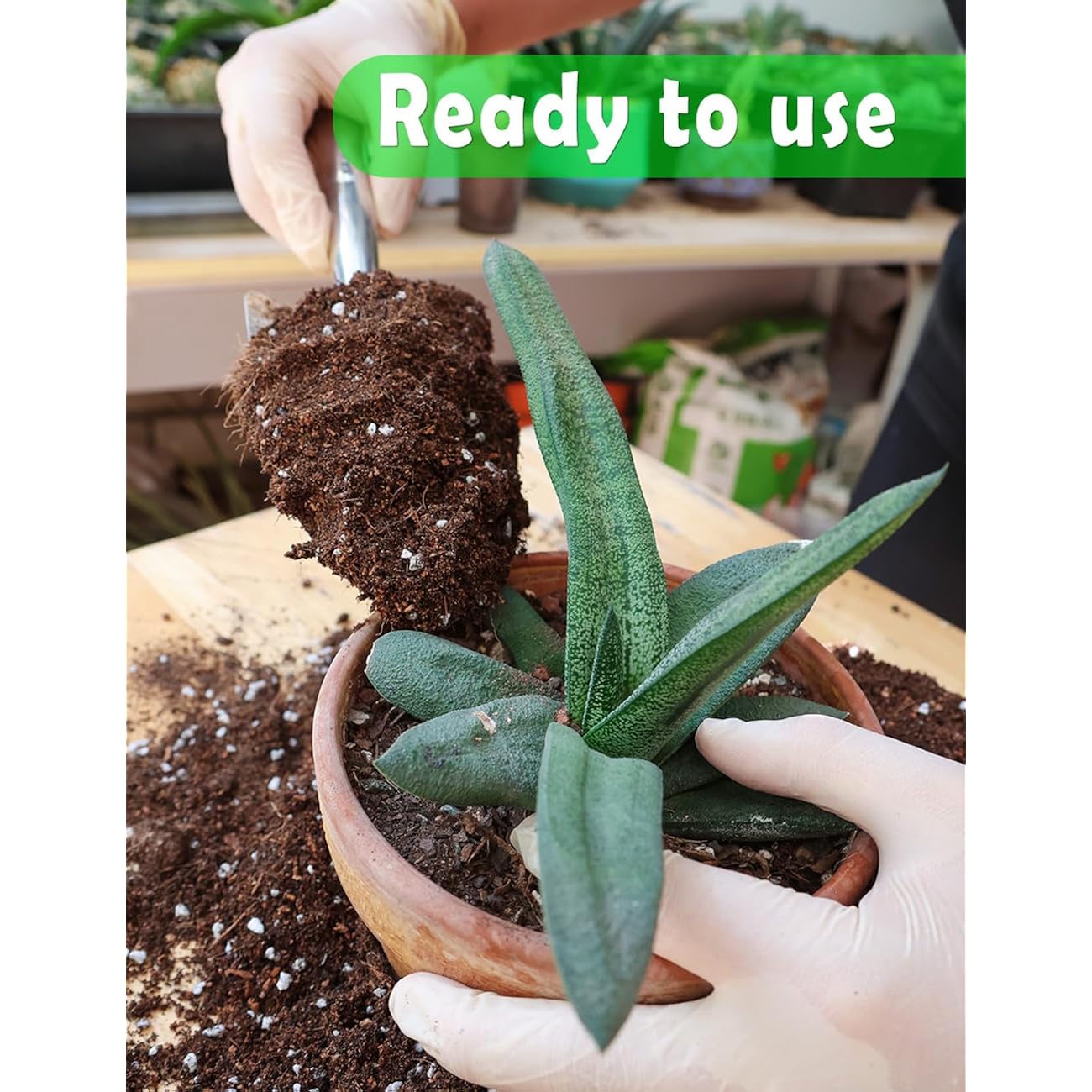 Potting Soil For All Indoor Houseplants, Contains Perlite, Peat Moss, Coco Coir And Rice Charcoal, Well Draining Potting Mix Light, Aerated Texture For Healthy Plant Roots And Fast Growth 1Qt