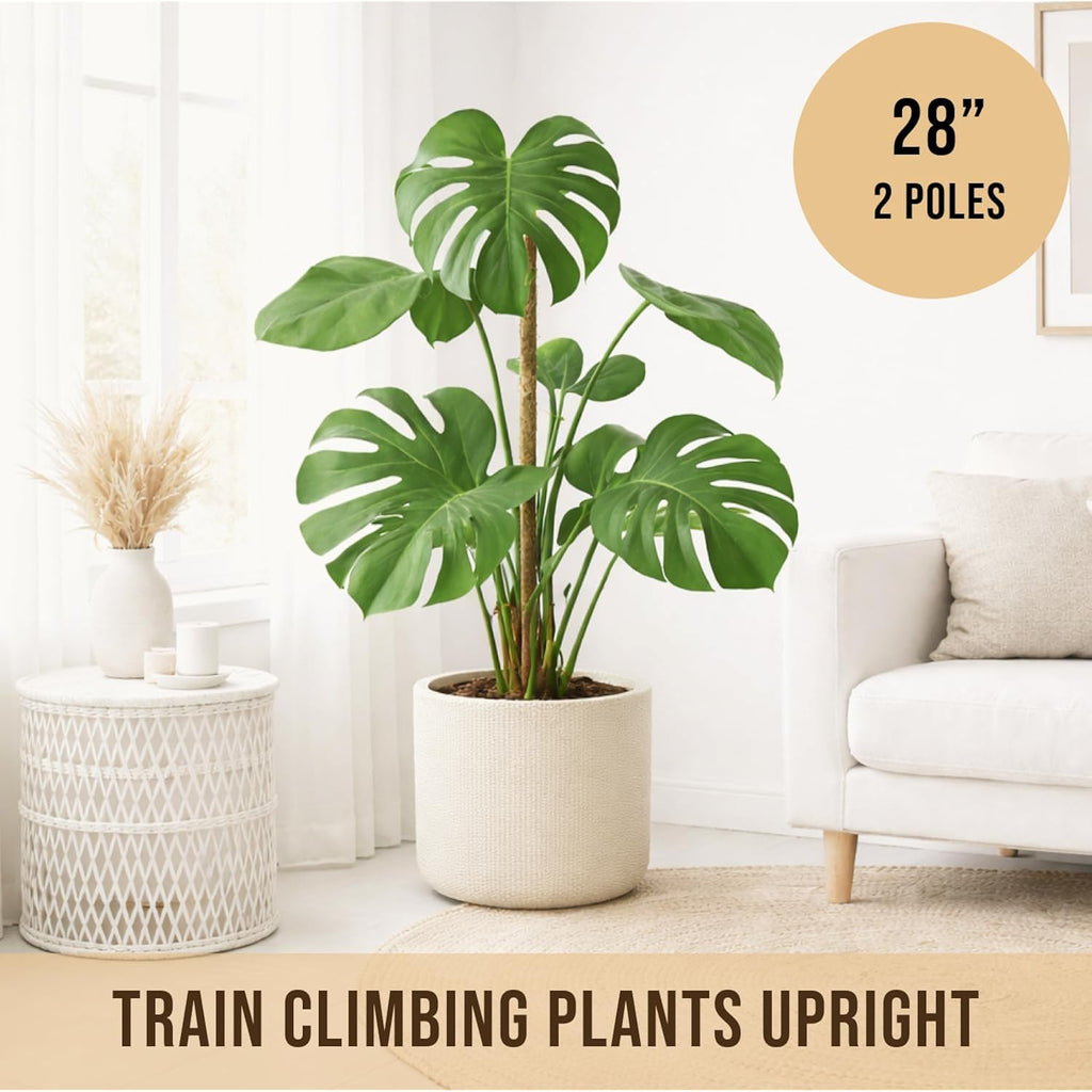 Moss Pole Monstera Plant Support, 2 Pack 28In Bendable Indoor Plant Stakes