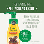 Miracle-Gro Houseplant Potting Mix, 4 Qt. | Fertilized, Perlite Soil For Indoor Gardening, Designed To Be Less Prone To Gnats