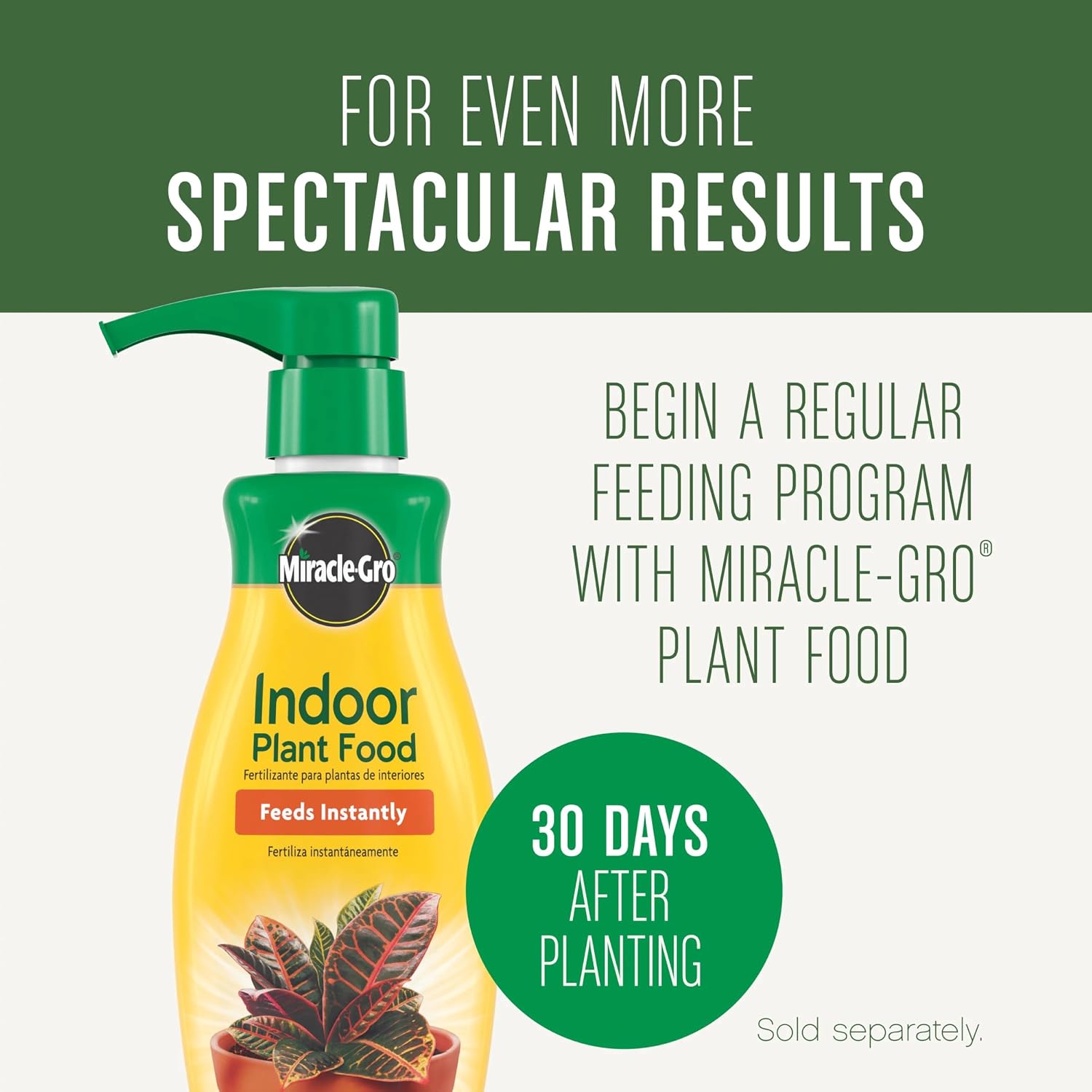 Miracle-Gro Houseplant Potting Mix, 4 Qt. | Fertilized, Perlite Soil For Indoor Gardening, Designed To Be Less Prone To Gnats