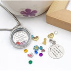 Best Gift Floating Charm Living Memory Lockets with Birthstone, 30mm Stainless Steel Necklace