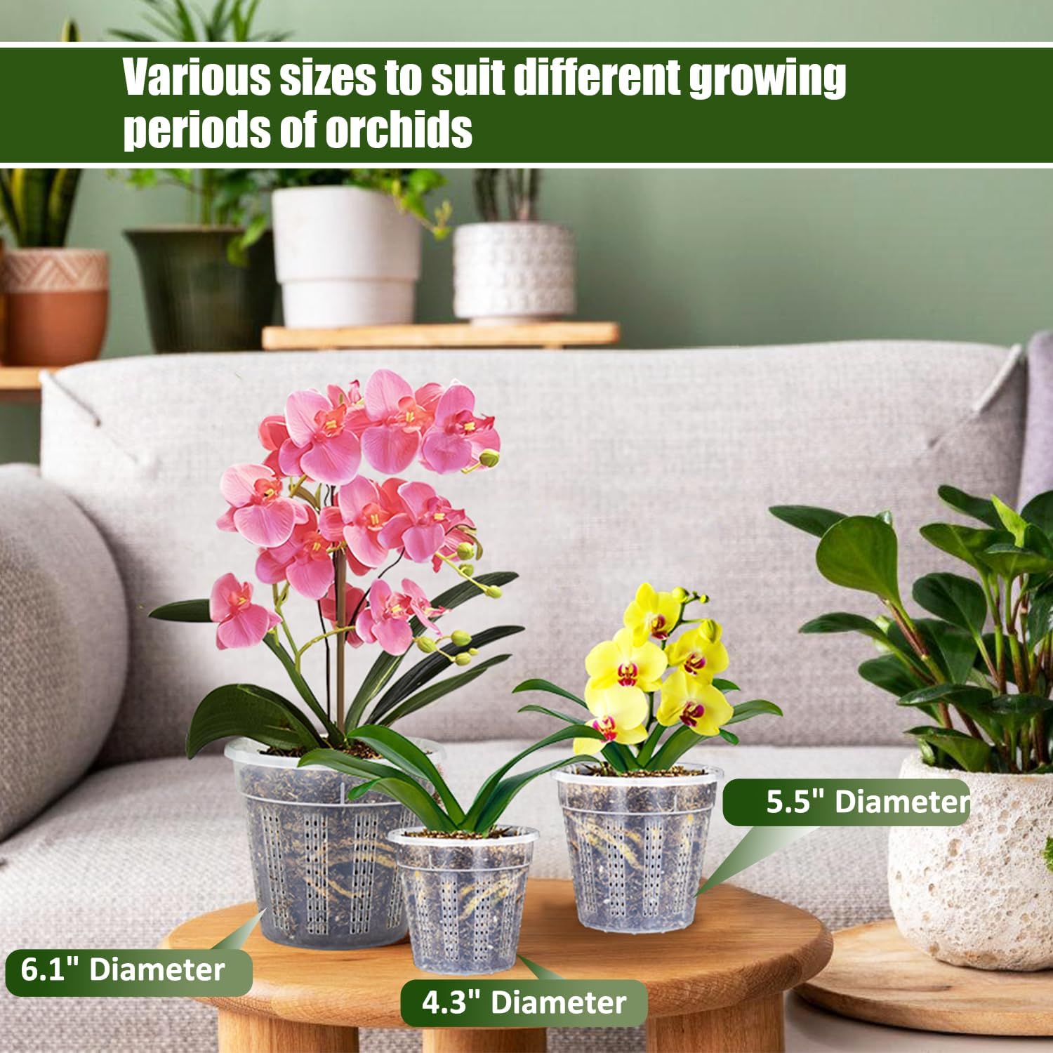 Orchid Pot, 2 Each Of 4.3",5.5",6.1" Orchid Pots With Holes, Orchid Pots For Repotting, Plastic Orchid Planter For Indoor Outdoor Plants (2 Each Of 4.3",5.5",6.1")