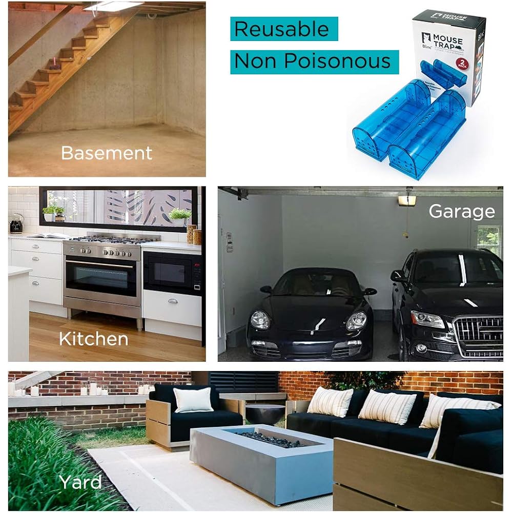 Humane Mouse Trap Reusable! [2-Pack] - Catch And Release No-Kill Rodent Traps For Indoors & Outdoors - Safe For Children & Pets - Reusable Mouse Catcher For Kitchen, Pantry & Garage Blinc (Blue)