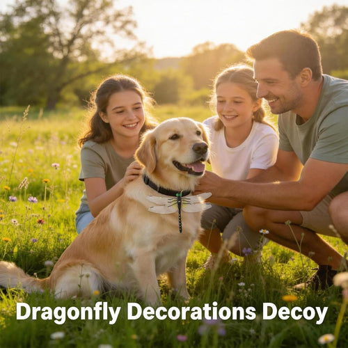 12Pcs Dragonfly Clip, 3D Outdoor Dragonfly Decor Clip, Dragonfly Bug Repellent For Garden Decor And Hat, Outdoor Decoration Yard Ornaments